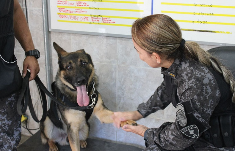 Sonho realizado: coronel se torna 1ª mulher comandante do Canil da PM